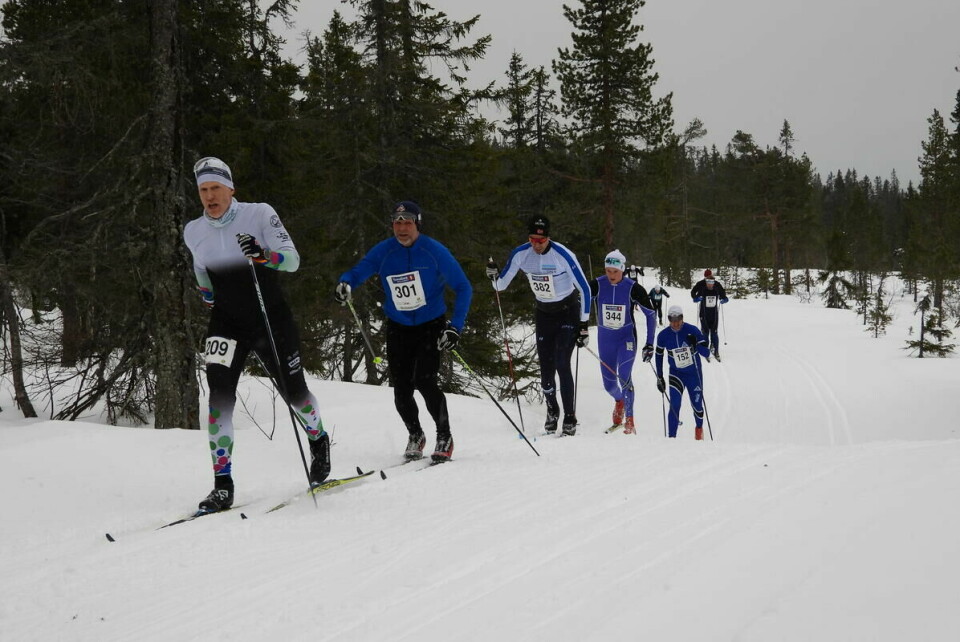 Budorrennet (58)