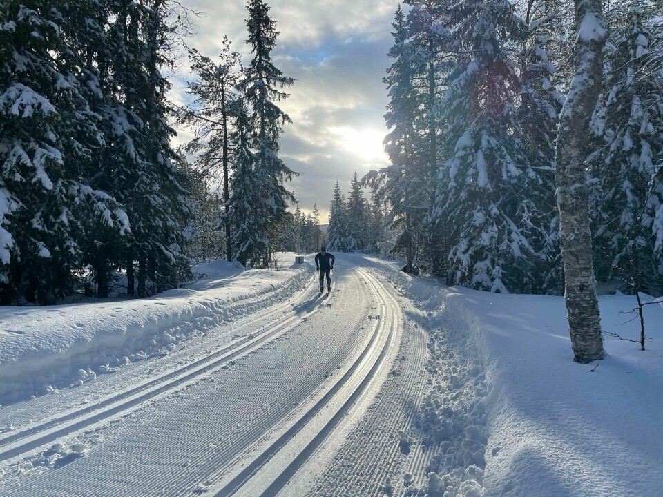 Litt vind med ellers mild vinteridyll lørdag. Her fra passering Ensrudvegen etter 18 km. (Foto: Gine Skei)
