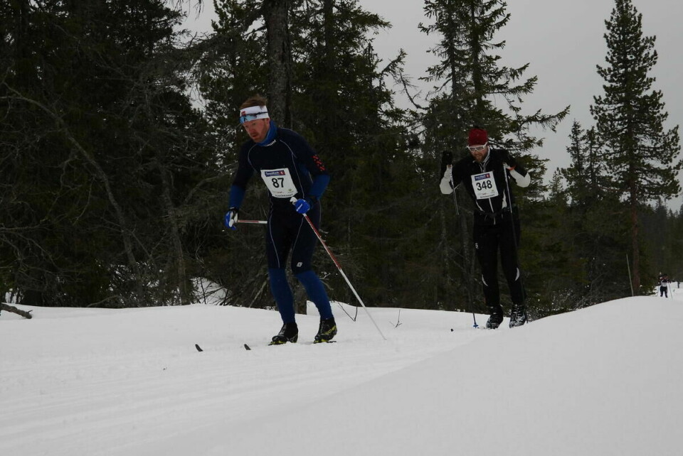 Budorrennet (59)