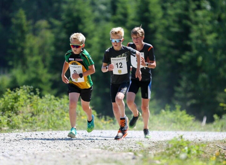 Norheim_Spigseth_Nytrøen_G11-13