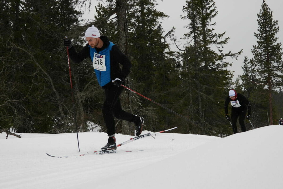 Budorrennet (60)