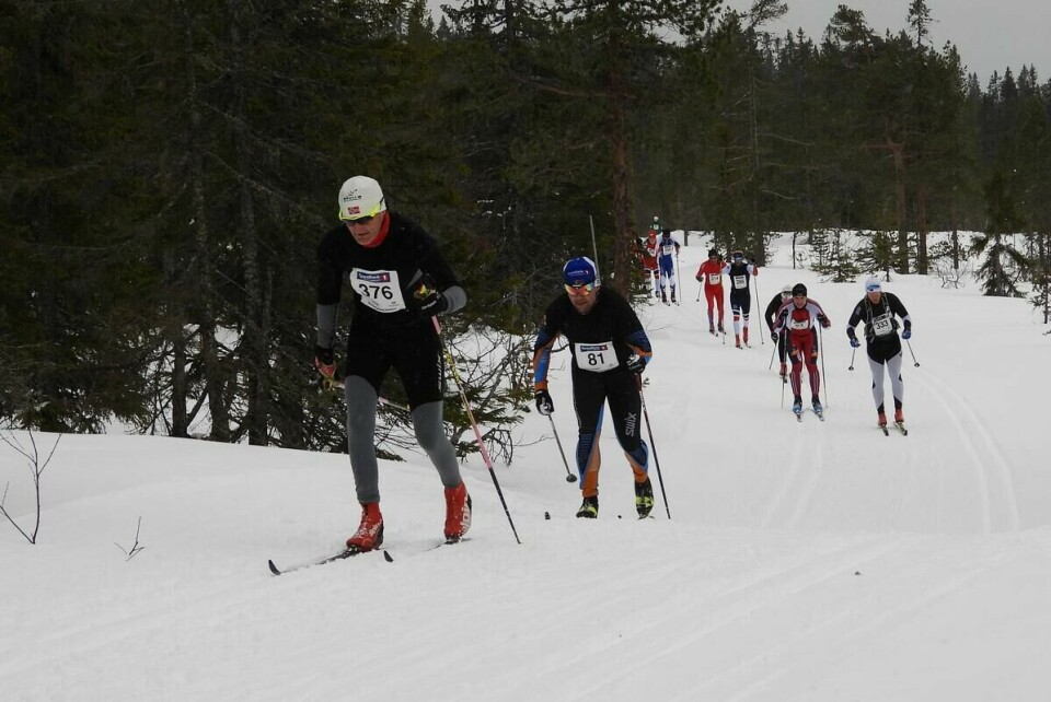 Budorrennet (64)