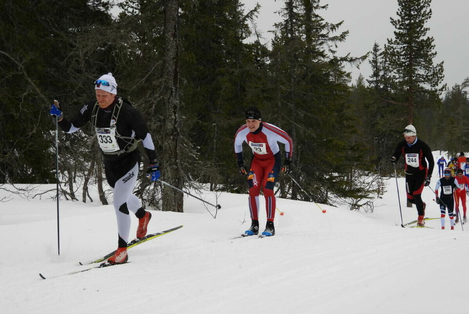Budorrennet (65)