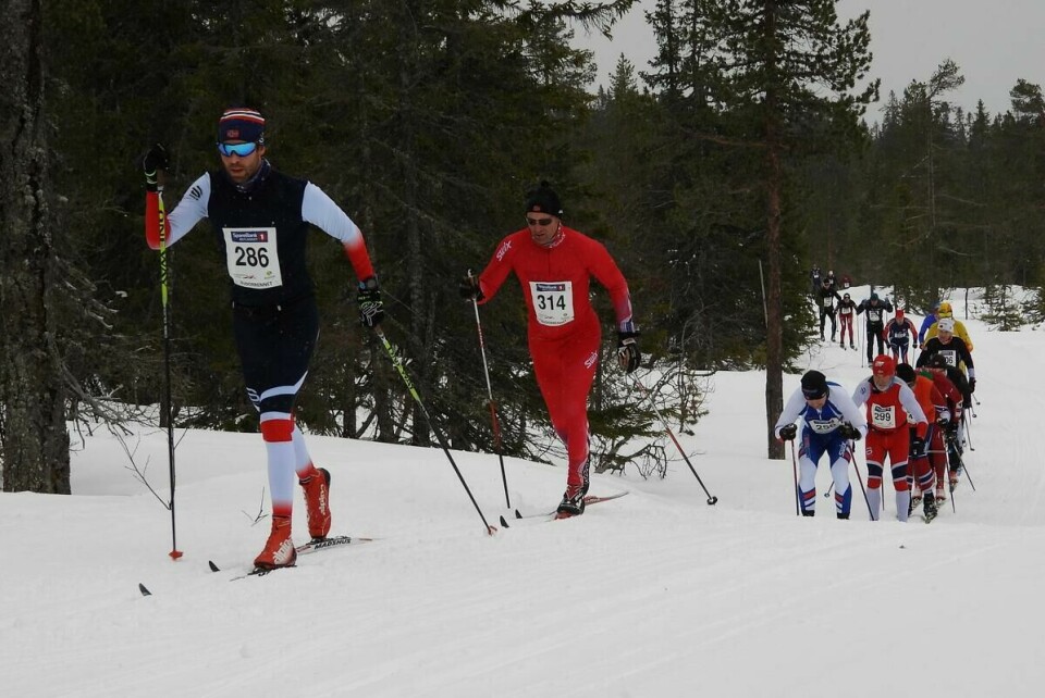 Budorrennet (66)