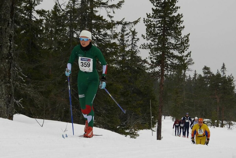 Budorrennet (70)