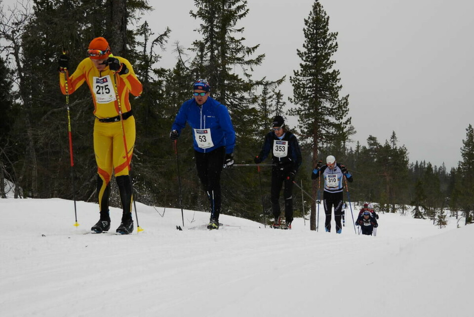 Budorrennet (71)