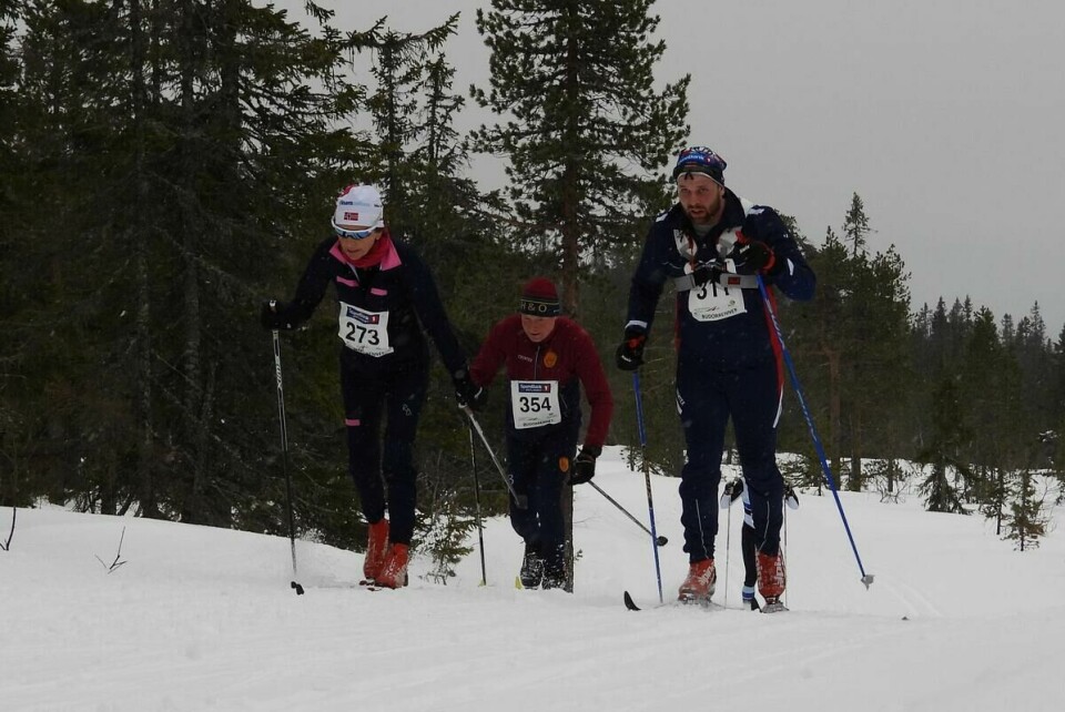 Budorrennet (72)