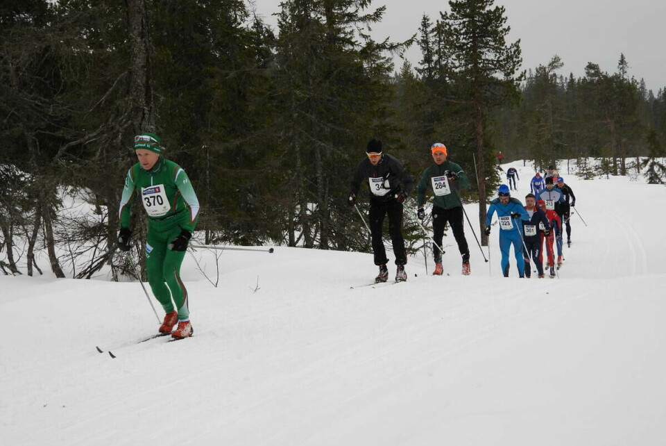 Budorrennet (73)
