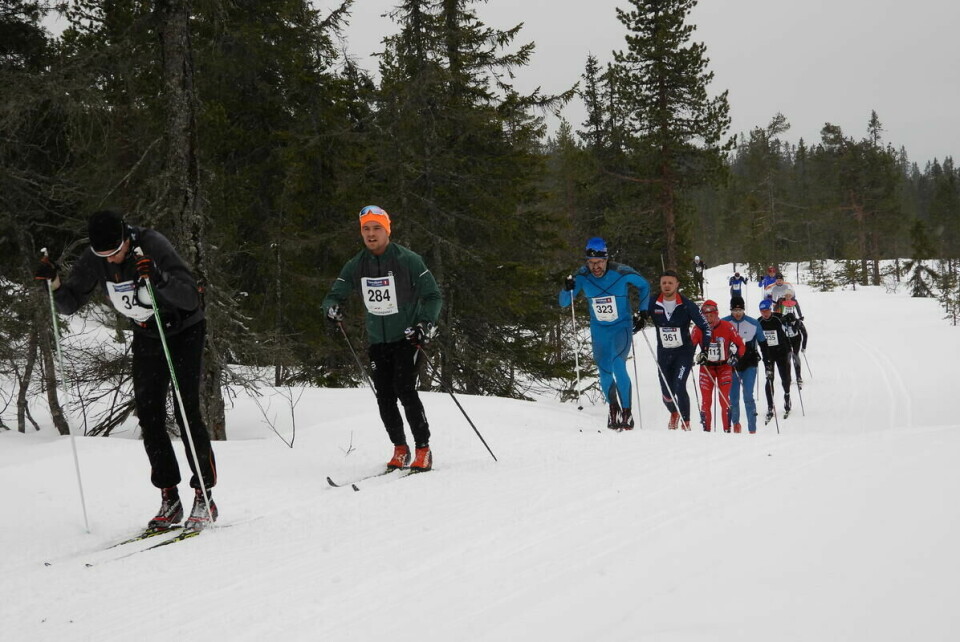 Budorrennet (74)