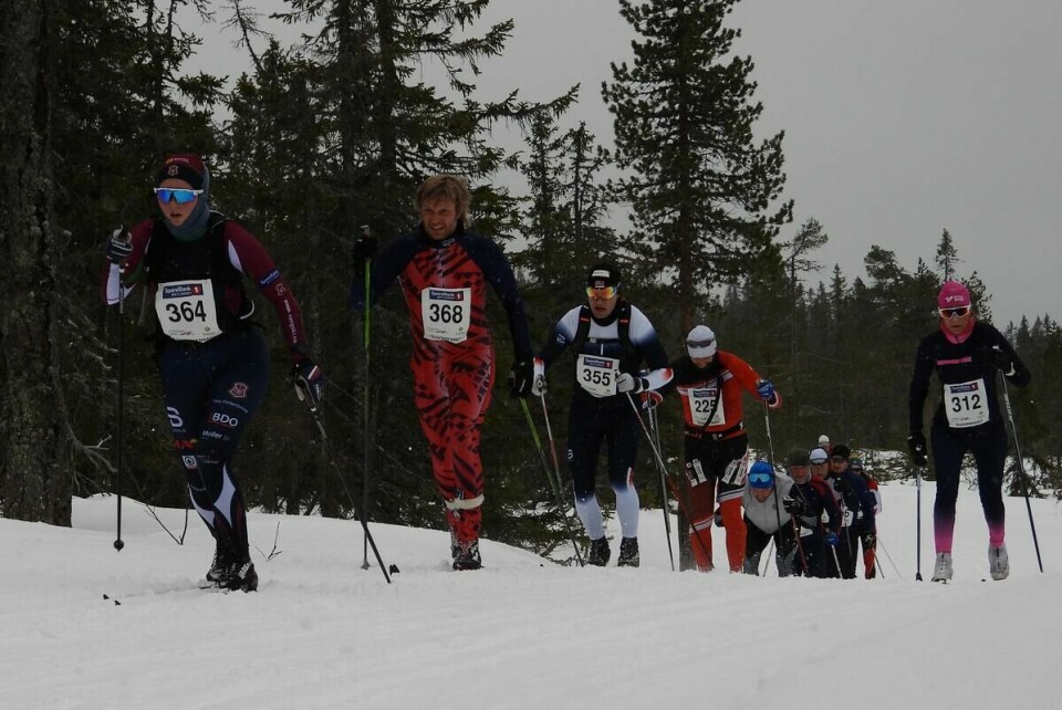 Budorrennet (76)