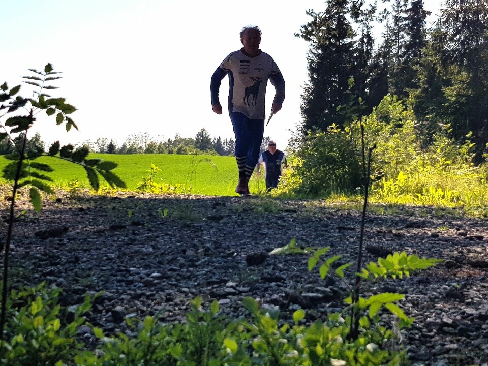 Varmt og krevende og bedrifts o-løp i Øvre Vang