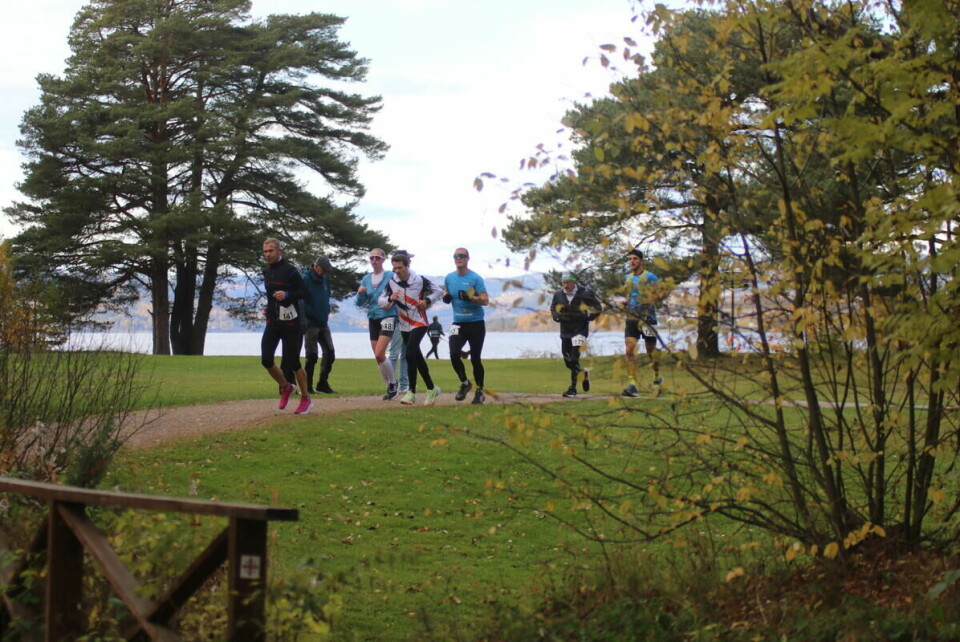 Hamar Backyard Ultra 50M (18)