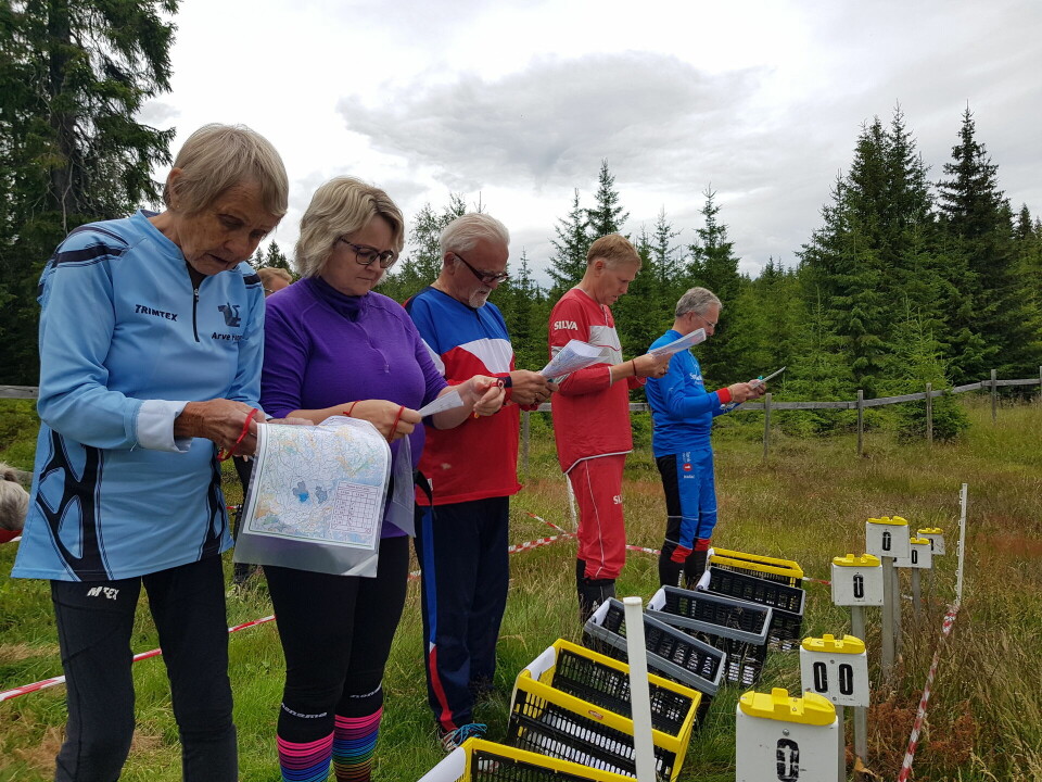 Trivelig på Vollkoia på vårsesongens siste bedrifts o-løp