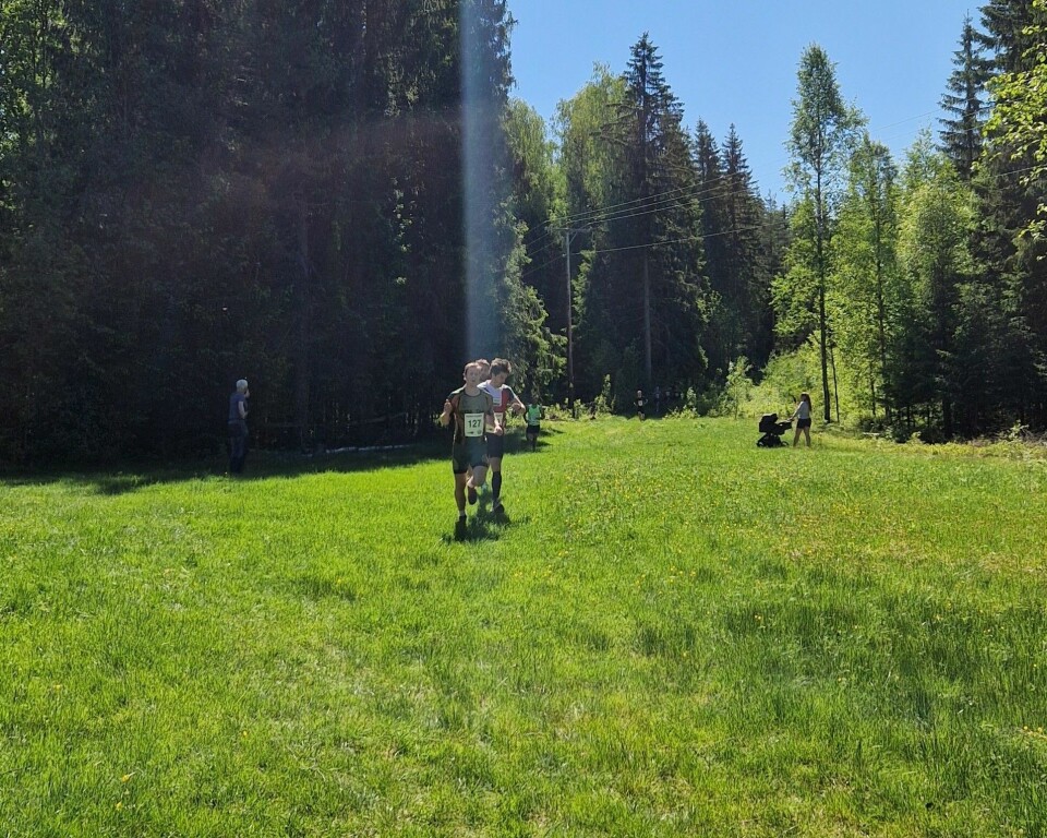En samlet tettrio med Amund Hagen Kristiansen i front i knallgrønne omgivelser i Vallset. (Foto: Tormod Løken)