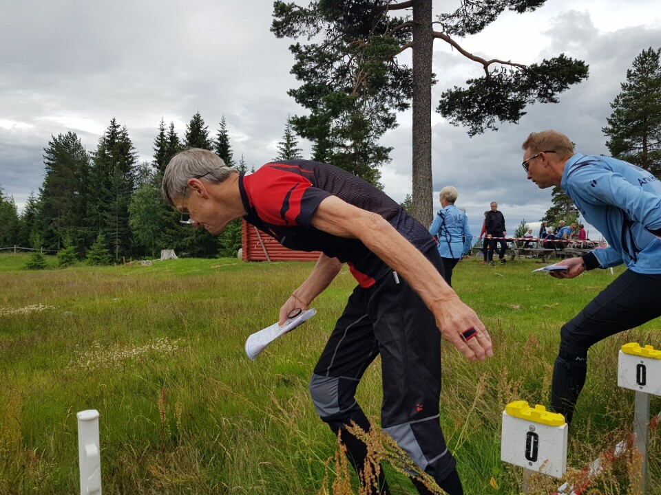 Trivelig på Vollkoia på vårsesongens siste bedrifts o-løp