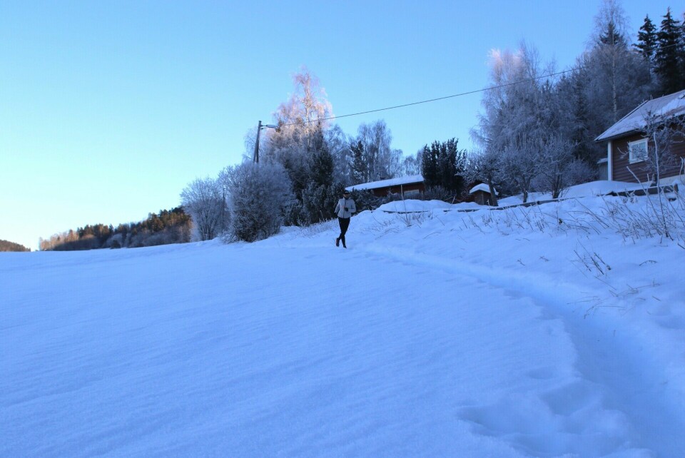 Første del av Mjøsen Trail-runden går utfor og delvis åpent terreng, (Foto: Rolf Bakken)
