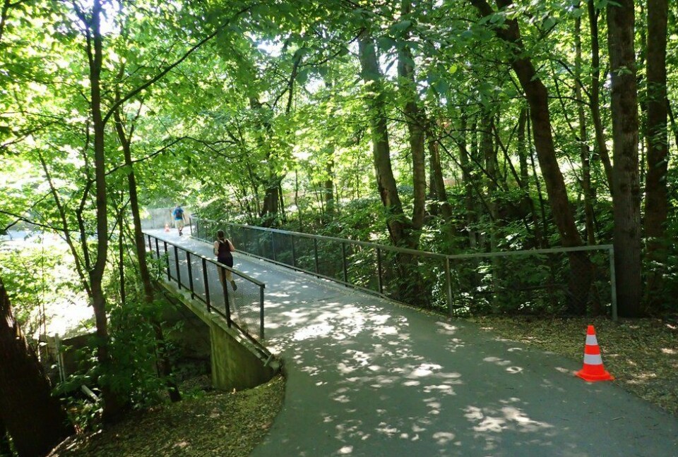 Flotte omgivelser: Frognerparken gir en flott ramme for løpsarrangementer. Illustrasjonsfoto: Marianne Røhme Oslomila med 3 og 10 kilometer