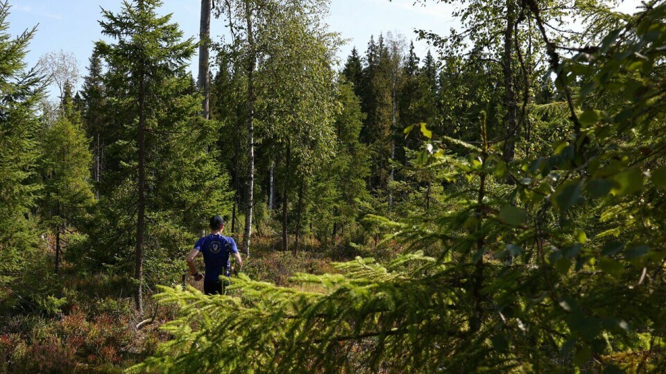 Kongsvinger Maraton 2024