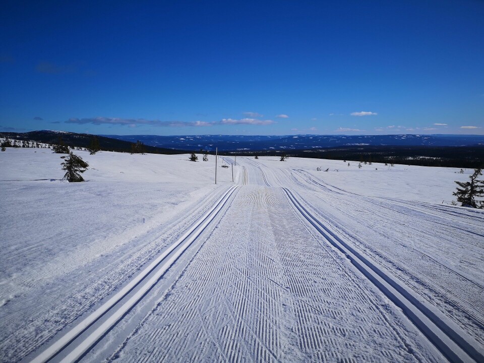 Utsikt fra Dølfjellet mot Østerdalen hvis du tar Birkebeinerløypa motsatt veg en solskinnsdag. (Foto: Rolf Bakken) Utsikt fra Dølfjellet mot Østerdalen hvis du tar Birkebeinerløypa motsatt vei en solskinnsdag. (Foto: Rolf Bakken)