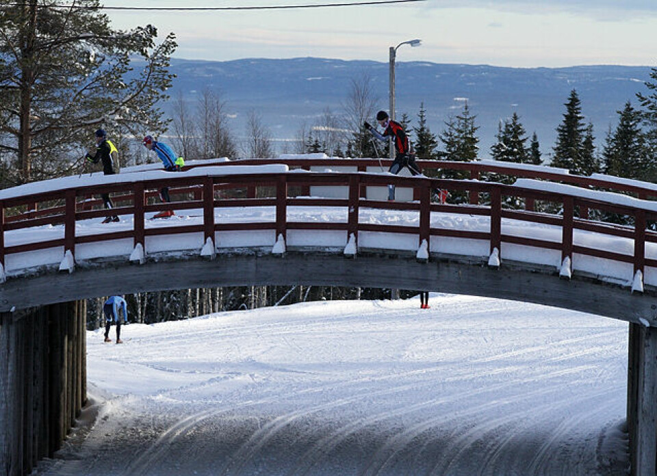 900 strålte i Stenfjellrunden!