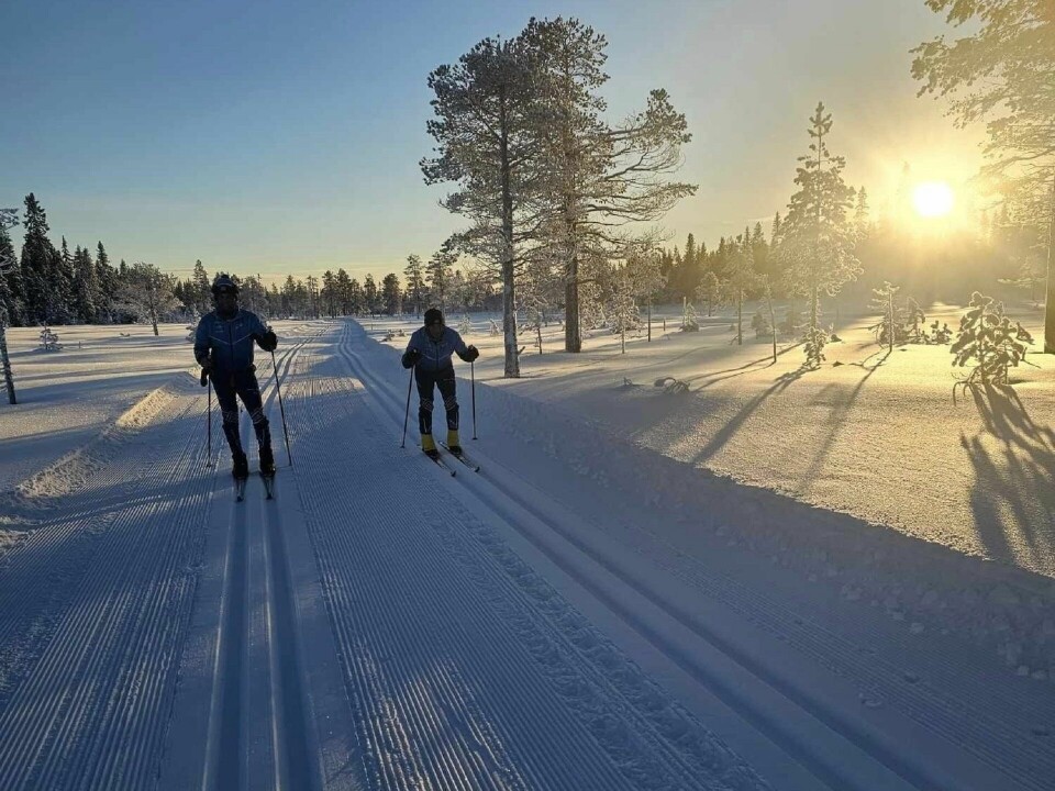 Trysil-Knut rennet gjør comeback 27. januar