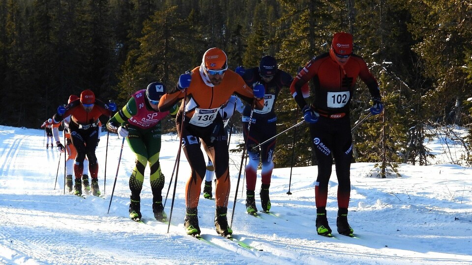 Teten etter 6 km med Johan Hoel (til høyre) og Henning Lie i front i hvert sitt spor. (Foto: Sten Arne Negård) Teten etter 6 km med Johan Hoel (til høyre) og Henning Lie i front i hvert sitt spor. (Foto: Sten Arne Negård)