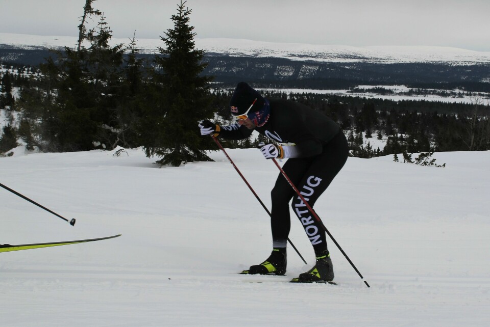 Petter Northug jr. staker seg opp til Kriksfjell rett før løypas høyeste punkt. (Foto: Rolf Bakken) Petter Northug jr. staker seg opp til Kriksfjell rett før løypas høyeste punkt. (Foto: Rolf Bakken)