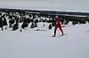Hafjell Ski Marathon (241)