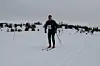 Hafjell Ski Marathon (286)