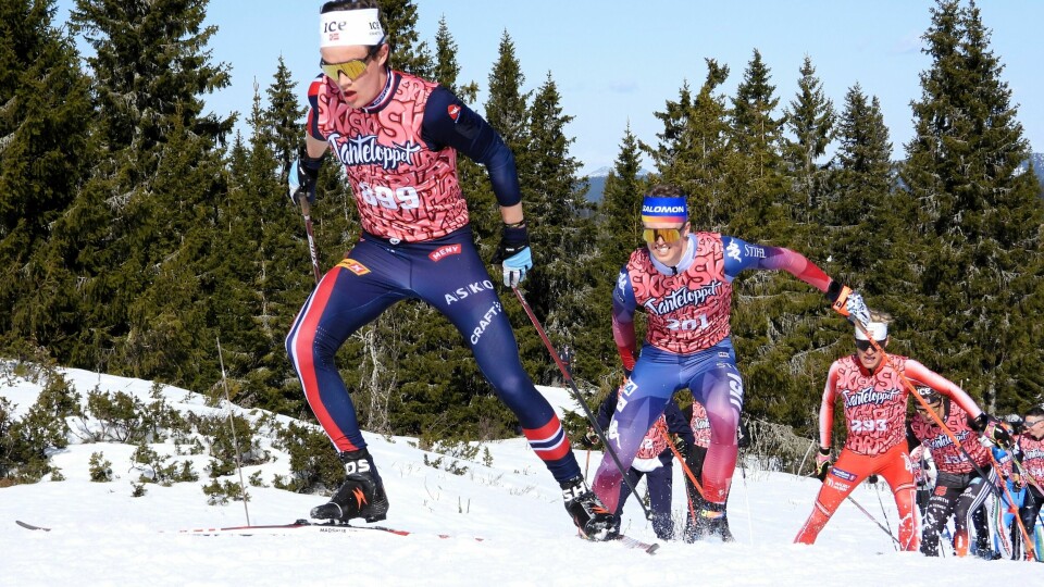 Bilder fra Janteloppet - 20 km (Bilde 101-150) Ingresss 20km