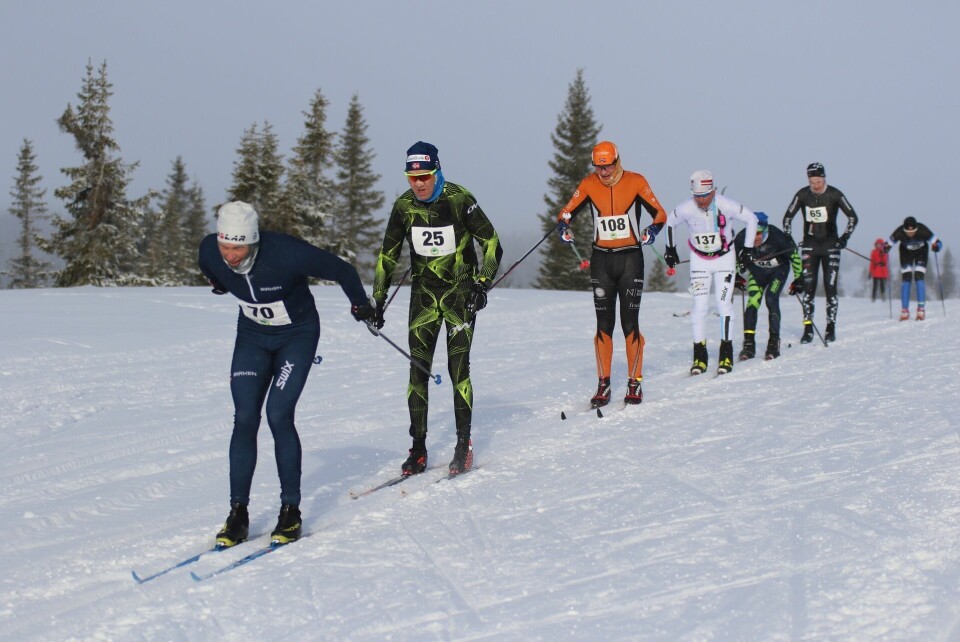 Se 300 bilder fra Sjusjøen Skimarathon (Bilde 1-50) Lang rekke - ingress