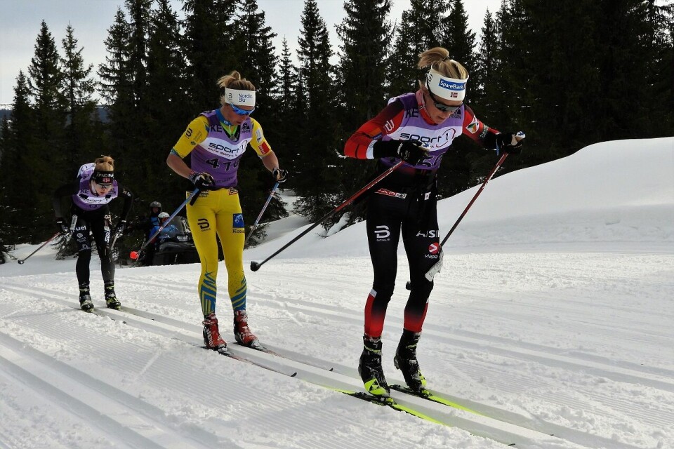 Therese Johaug i tet, foran Astrid Øyre Slind (som vant) og Emilie Fleten. (Foto: Stein Arne Negård)) null