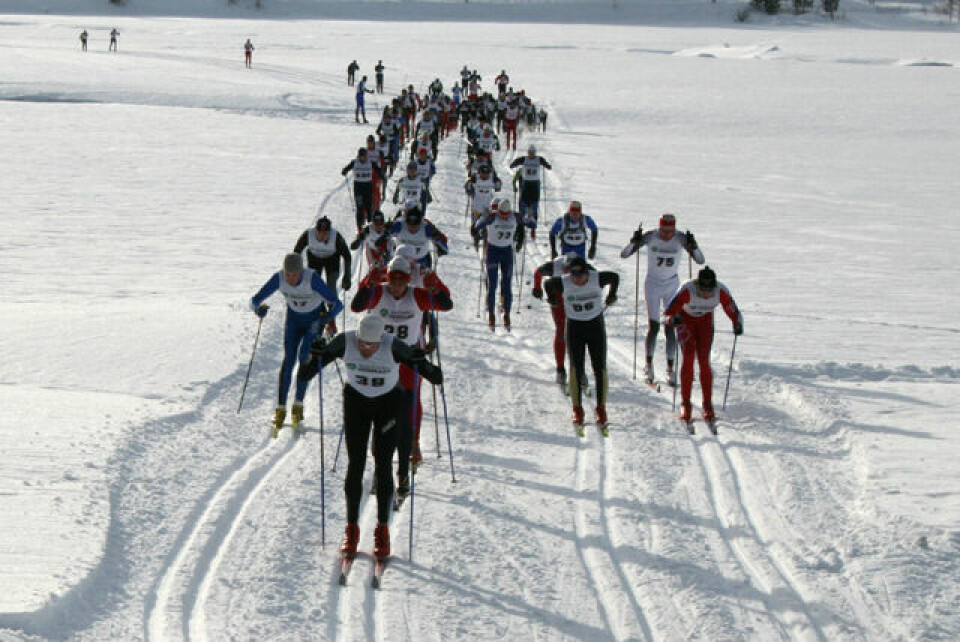 Samleside for Trysil-Knut Rennet