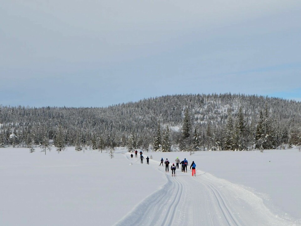 Kittillirennet i fri teknikk og stor fart i Trysil på søndag Kittillilandskap.jpg