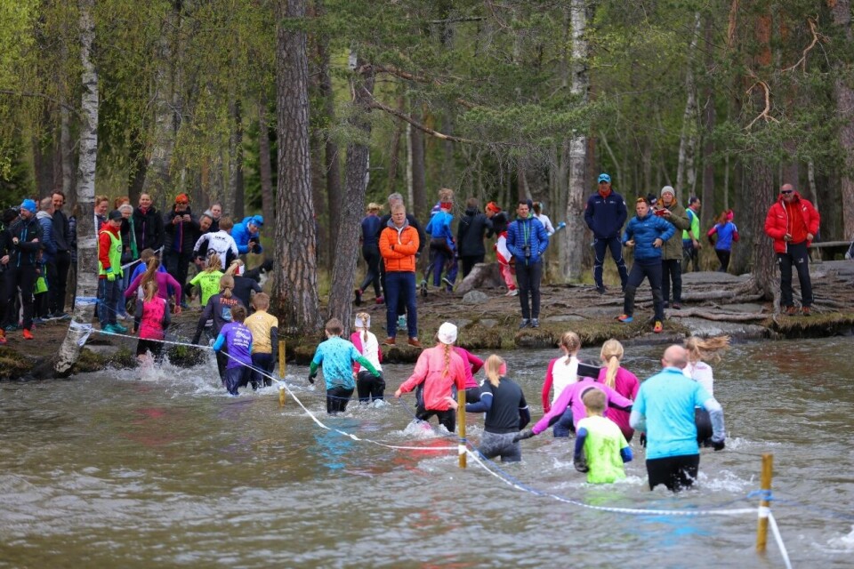 Råskinnet samleside Ratassen-2019-KD-82706- Foto_Stian_Schløsser_Møller (1280x853).jpg