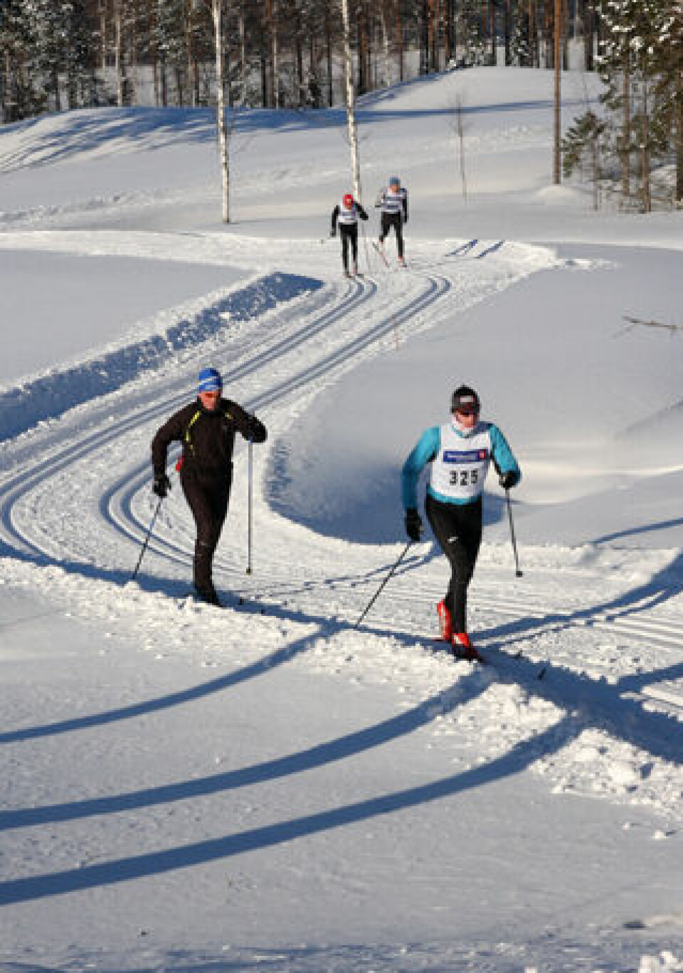 Samleside for Liermoen Rundt på ski