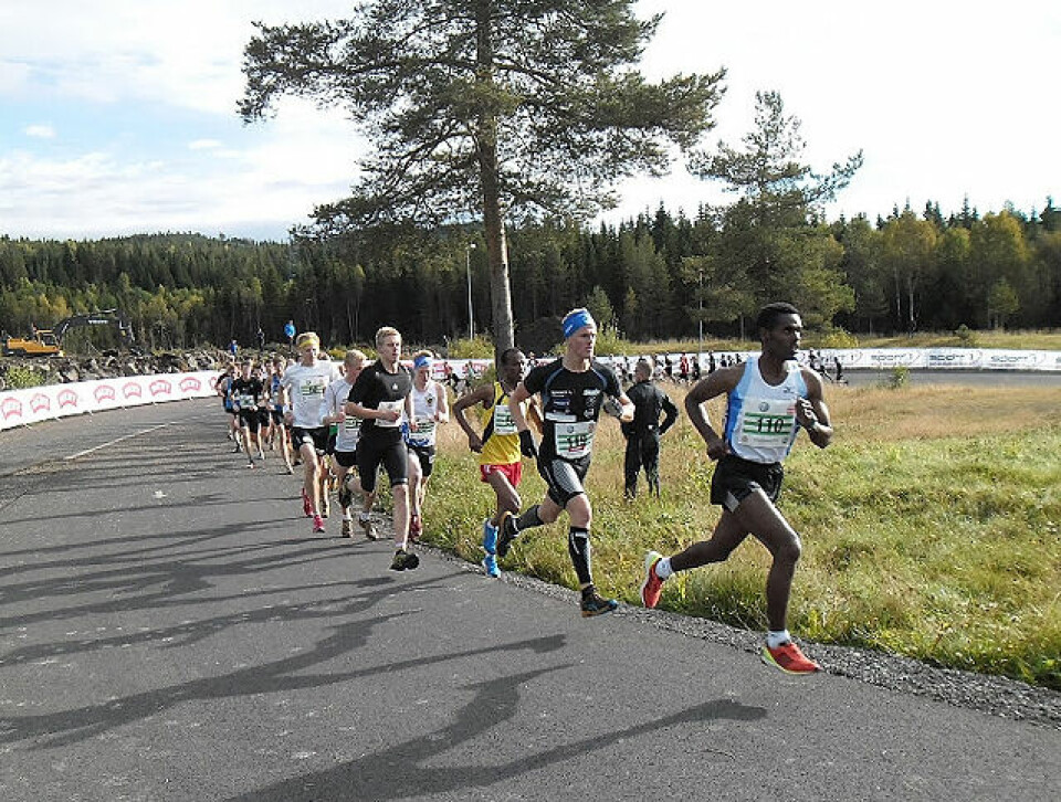 Hedmark på topp i 8 klasser