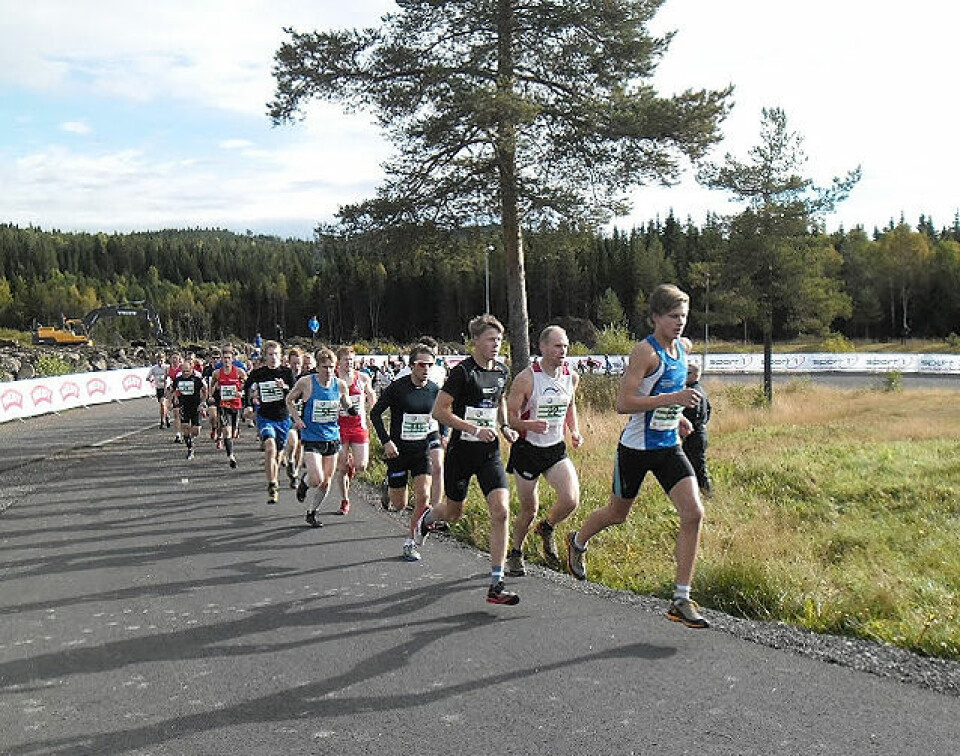 Hedmark på topp i 8 klasser
