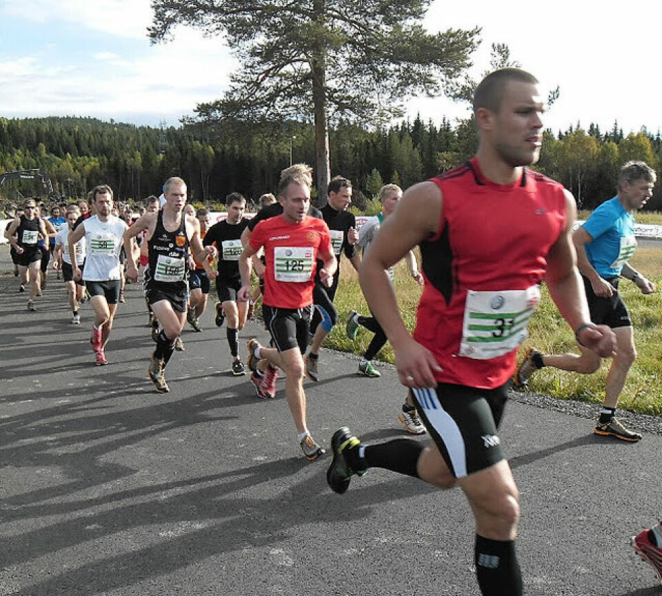 Hedmark på topp i 8 klasser