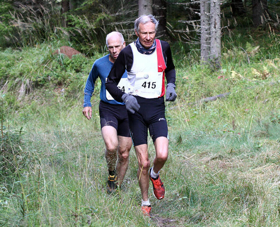 Hedmark på topp i 8 klasser