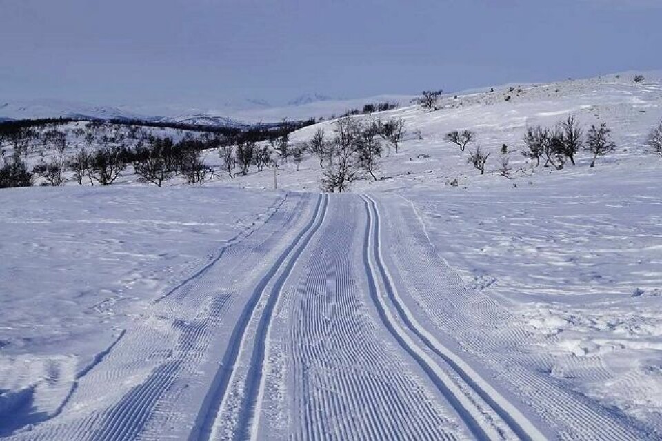 (Foto: Folldal Turlag) (Foto: Folldal Turlag)