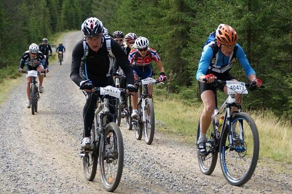 Birkenglimt fra Bringebu fredag Bringbu_Brit_Pettersen_Tofte.jpg