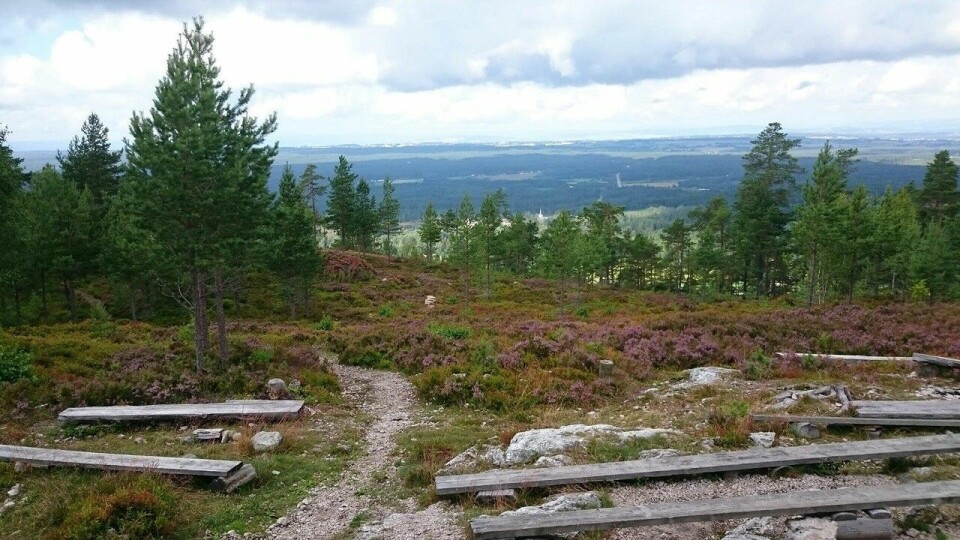 Utsikten nordover fra mål på Skåråsberget. (Foto: Bente Myhr) Utsikten nordover fra mål på Skåråsberget. (Foto: Bente Myhr)
