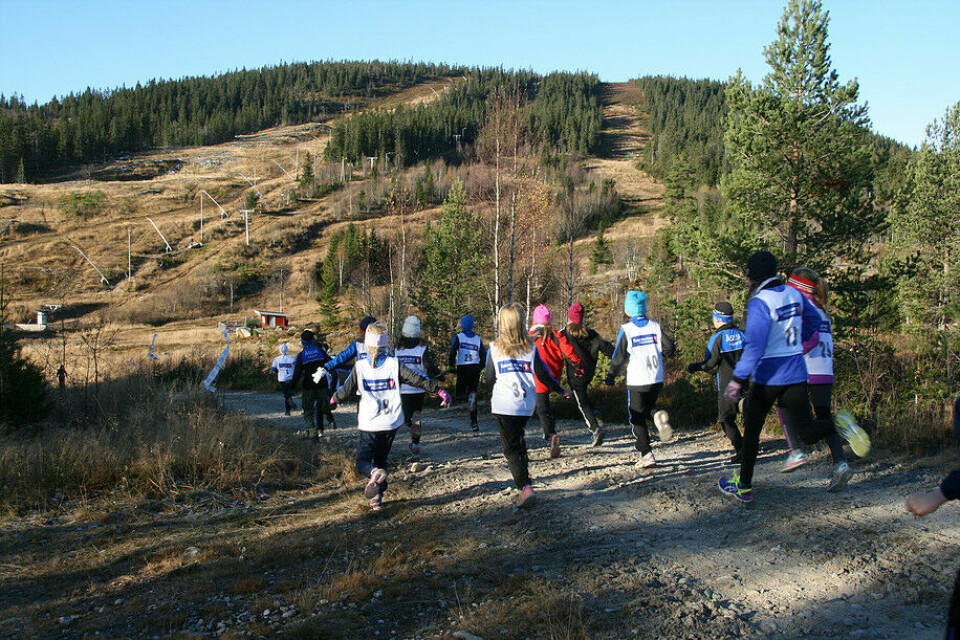Samleside for Digeråsen opp Digeraasen