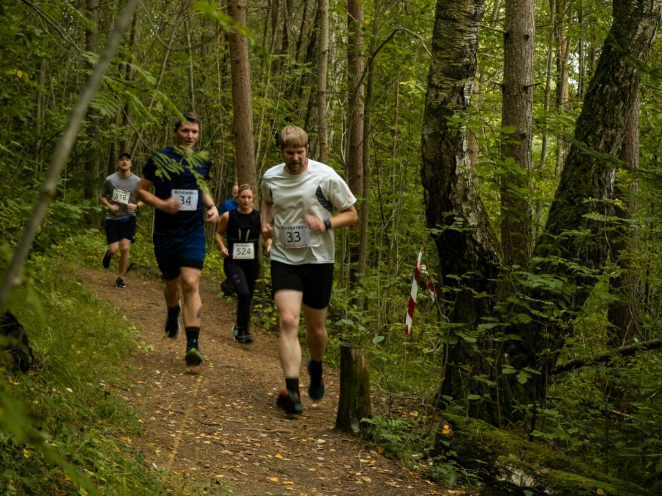 arribatec-mila hamarkarusellen