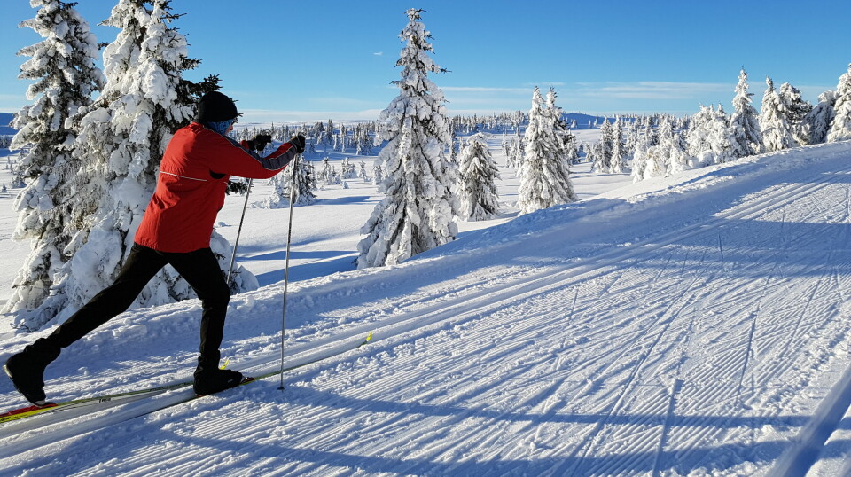 Slik forbereder du deg til skisesongen