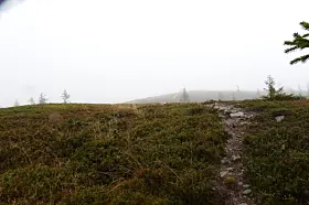o-løp mjøs-o-cup innlandet