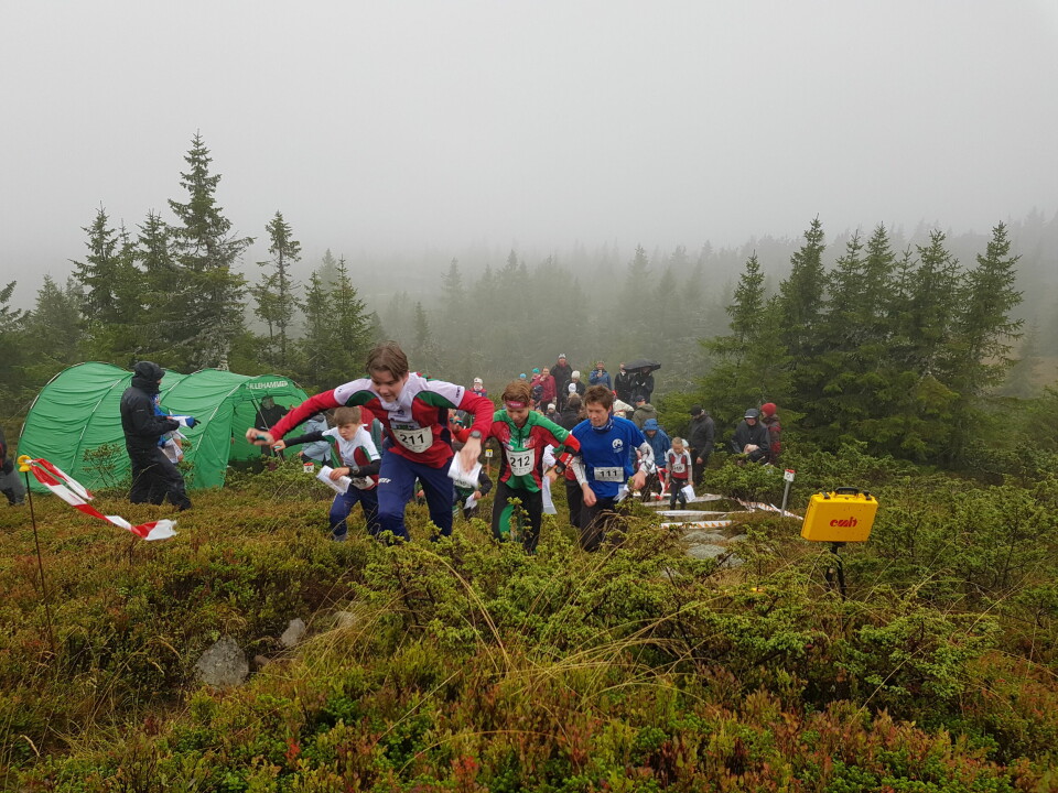 o-løp mjøs-o-cup innlandet