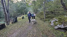 galdane rundt