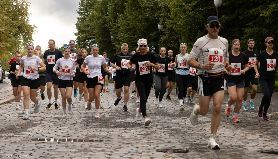 Her er 10 kilometeren godt i gang. Det ble også arrangert 5 km og turmarsj - med totalt 462 deltakere i aksjon. Her er 10 kilometeren godt i gang. Det ble også arrangert 5 km og turmarsj - med totalt 462 deltakere i aksjon.